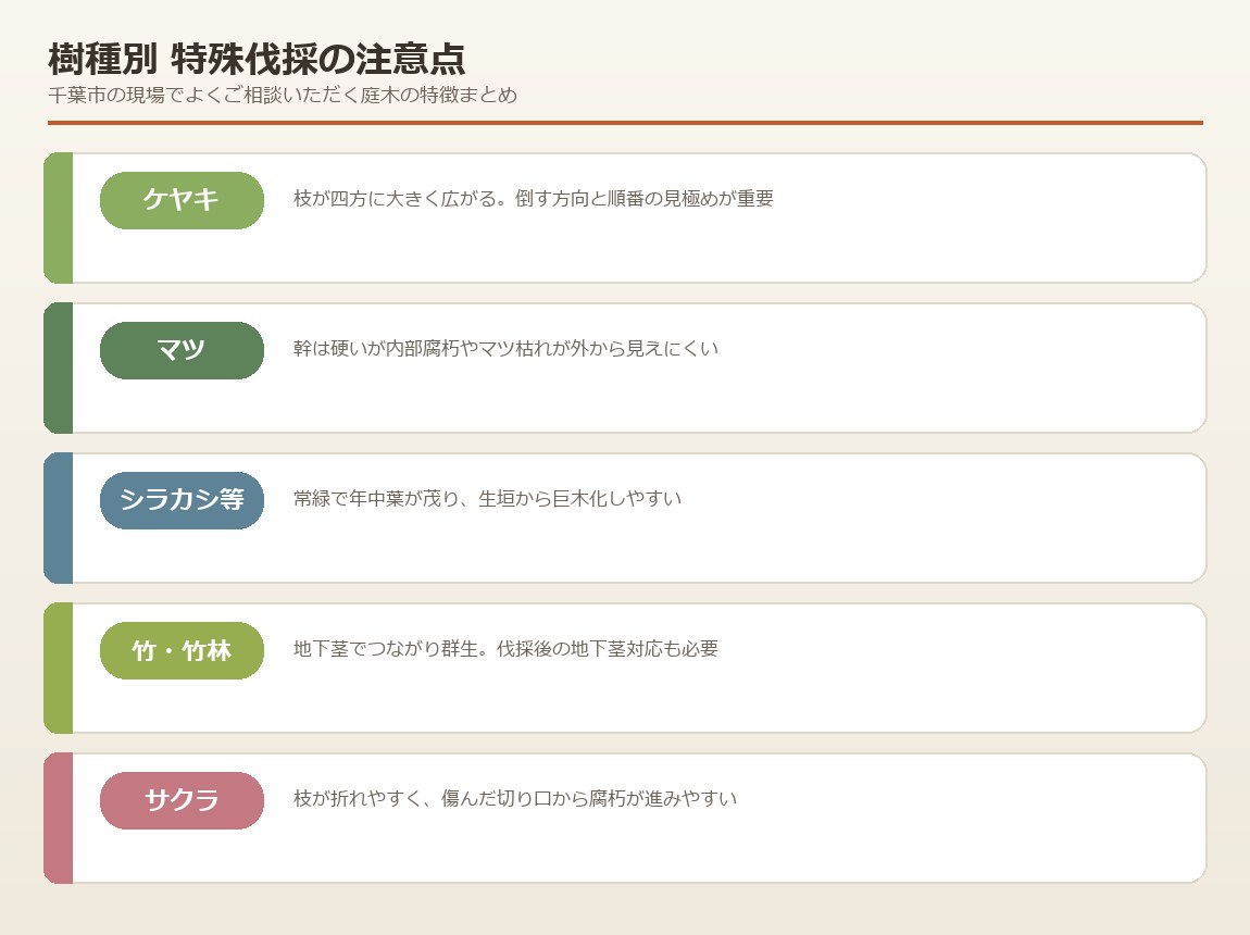 樹種別の特殊伐採の注意点をまとめた比較表